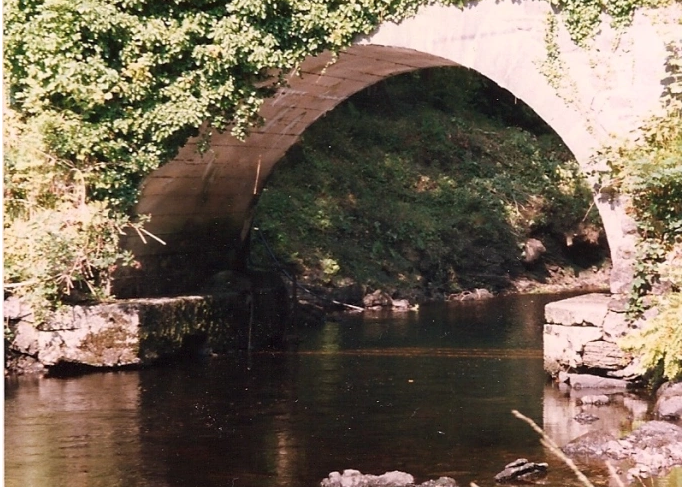 Bridge cropped